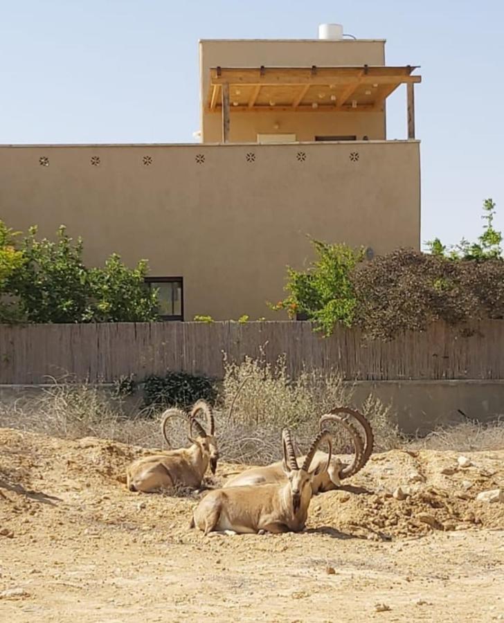 Midreshet Ben Gurionצמח בר公寓 外观 照片